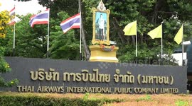 Thai Airways sues passenger who criticised flight diversion