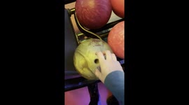 Bowling ball switcheroo: hilarious strike with a human twist!