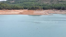 Gaviotas en embalse con poca agua por escasez de lluvia en españa