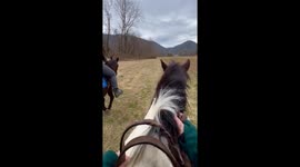 Saddle slip: Camera catches horse riding mishap