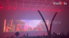 Exciting 'Shrek' visuals entertain the crowd during Excision's 'Thunderdome' Extravaganza