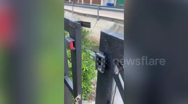 DIY sliding gate uses old car seat belt as lock
