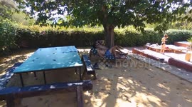 Accidente de dron en alejamiento y ascendiendo contra las ramas de un árbol.