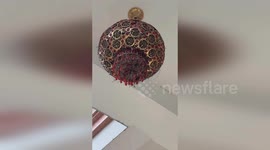 Tiny feathered architect builds nest in man's ceiling light fixture
