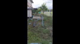 Chicken run! Farmer builds DIY exercise machine for rooster