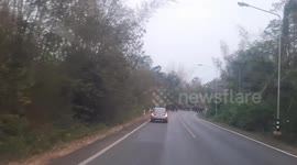 Elephant herd passes in front of cars on Thai highway