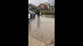 Kind man helps a lost swan get back into water *Heartwarming*