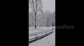 US: Nor’Easter Sweeps Through Region, Bringing Heavy Snow To New York 3