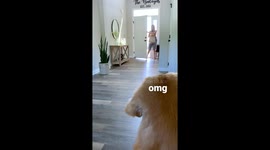 My Dog Meets His Son