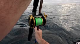Shark Hits Kayaker