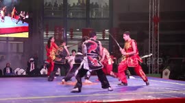 Wushu championship, performance celebrate Dragon Year in Egypt