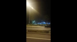 Pony pokes out of car roof as it speeds along motorway