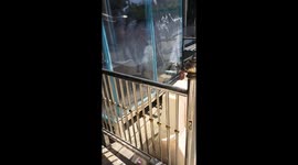 Crazed monitor lizard tries to get inside school in Thailand