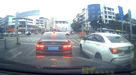 Chicken kicks traffic light: bizarre incident leaves traffic police stunned