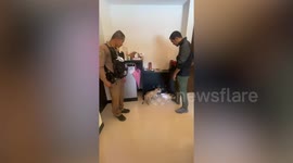Chinese woman arrested 'for illegal possession of lion cub' in Thailand