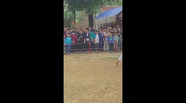 The wooden ball wrestling festival is held during the Lunar New Year in Vietnam