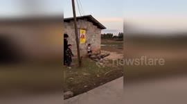 Goose pecks boy against wall after he 'burned it with firecracker'