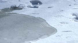 Mongolia issues warning of spring floods in capital