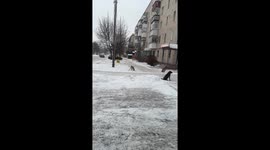 Furry shenanigans: playful pup turns snowy day into a bra-bouncing extravaganza!