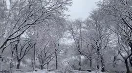 Storm Brings Heavy Snow To New York City, USA
