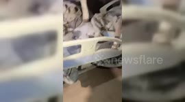 Israel Bombs Gaza Hospital