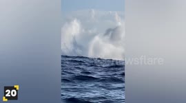 Epic Whale Encounters