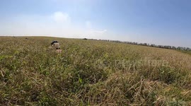 On The Ground In The Russia-Ukraine War