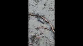 My (Marcie Callewaert) initial reaction to finding my wallet washed up on the beach, near where I lost it in 20ft of water, 8 months ago. This is on an island offshore of Tofino BC on the west coast of Vancouver Island.