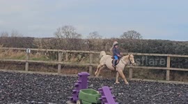Cheeky Peaches is a bit wild during a cold spell,  because she's not been in her field.