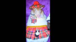 Rat Is All Dressed Up and Ready to Play Bagpipes