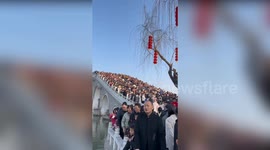 Popular tourist bridge 'disappears' beneath huge crowd of visitors