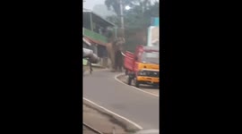 Locals flee as wild elephant wanders into Indian town