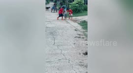 Parents and kids help rescue baby chicken from drain