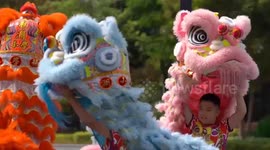 Student lion dance team set up in E China to cherish traditional culture