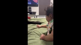 Adorable encounter: baby and dog's playful interaction caught on camera in Miami, Florida