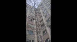 Daredevil teen does double somersault dive from fifth floor of building into snow-covered ground