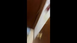 Home's Residents Try To Catch A Squirrel