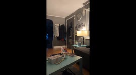 Nosy Cat Hangs On Door Window