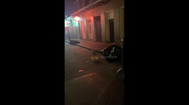 Packs Of Rats In The Streets During Mardi Gras