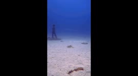 Diving in a magic places. The awesone Atlantic Museum in Playa Blanca (Lanzarote)