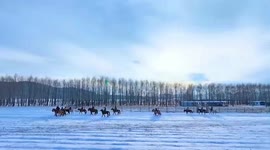 China's National Winter Games spurs growth of ice-snow sports, industry