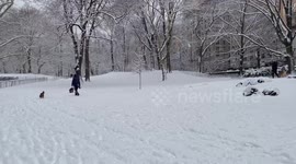 Snow falls on a pathway and pine trees in New York City’s Central Park