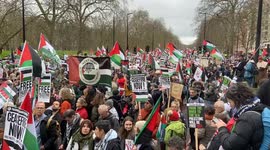 Thousands of people march in central London calling for a ceasefire in Gaza