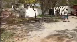 11 people were killed and several others were injured, after a massive explosion at a firecracker manufacturing unit Vembakottai, India