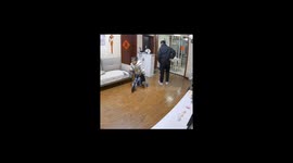 Quick Thinking Dad Avoids Eye Contact With Daughter After Her Bike Tumble in China