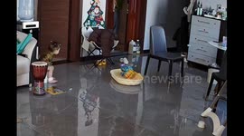 Resourceful Chinese Baby Rescues Mom Locked Outside in China