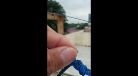 Indonesian local baffled after encountering 'camouflaged' blue worm