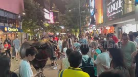 Pretty Thai farmer takes pet buffalo for walk outside mall