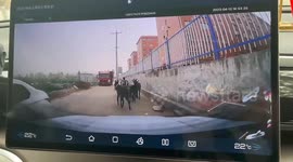 Stubborn Donkeys Cause Chaos for Trike-Riding Grandpa in China