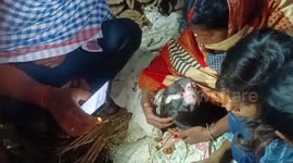 Locals flock to get glimpse of calf born with 2 mouths and 3 eyes in India